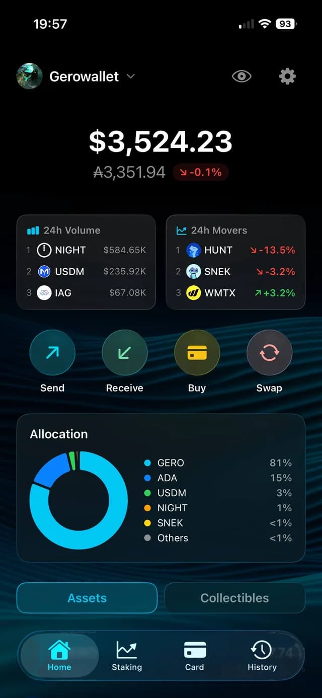GeroWallet iOS portfolio dashboard showing balance, allocation chart, and 24h market movers