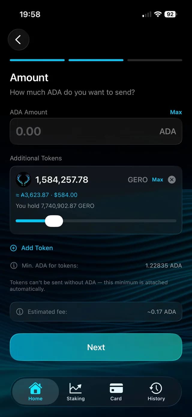 GeroWallet iOS send screen with multi-token amount selection